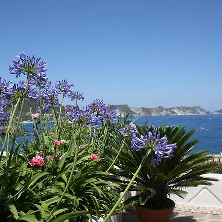 Ersilia Bed & Breakfast Ponza