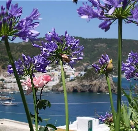 Ersilia Ponza